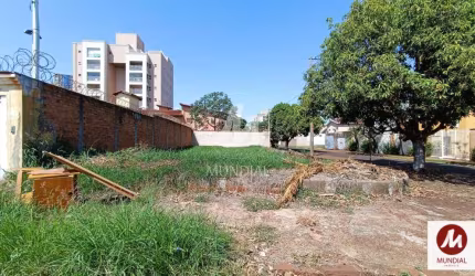 Terreno (terreno normal)
