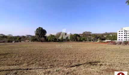 Terreno (terreno normal)