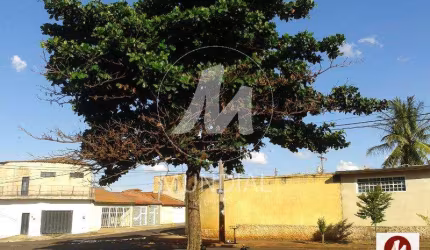 Terreno (terreno normal)