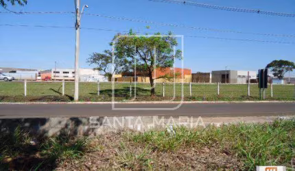Terreno (terreno normal)