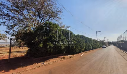 Terreno (terreno normal)