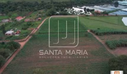 Terreno (terreno normal)