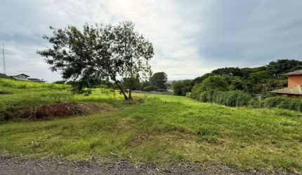 Terreno à venda, 5000 m² por R$ 970.000,00 - Recanto dos Pássaros - Indaiatuba/SP