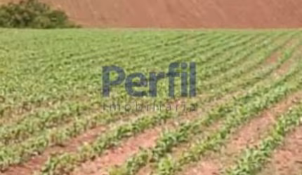 Chácara / sítio à venda no Centro, Soledade de Minas  por R$ 1.400.000