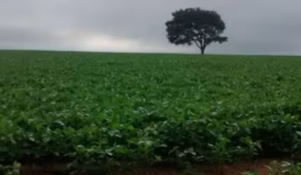 Chácara / sítio à venda na Vila Trujillo, Sorocaba 