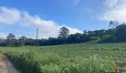 Chácara / sítio à venda na Vila Aparecida, Suzano  por R$ 11.649.180