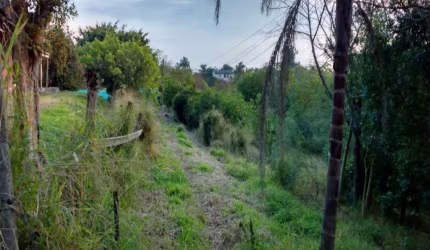 Terreno parte plano alongando em declive, totalizando a metragem de 8.765 m², bem localizado próximo a Rua Cristiano Kramer, ônibus e acesso fácil.  Venha conhecer!
