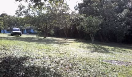 Excelente terreno na Restinga, medindo 30 x 82 = 2.460, arborizado, parece área rural, é como viver no interior,  local tranquilo em avenida asfaltada.
