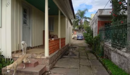 Belo  terreno  plano  para  investidores  à  poucos passos  da  av.  Juca  batista  medindo 11x36=396 m².&lt;BR&gt;no terreno existe um chale de madeira e uma edícula.&lt;BR&gt;ligue para nossos corre