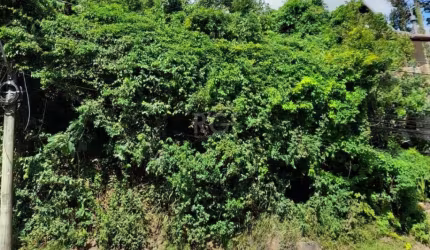 ÓTIMA OPORTUNIDADE: Terreno com estudo de solo e viabilidade, localizado na Avenida Wenceslau Escobar, Bairro Vila Conceição, na entrada do Sétimo Céu, com vista para o Guaíba.&lt;BR&gt;Dimensões:11m 