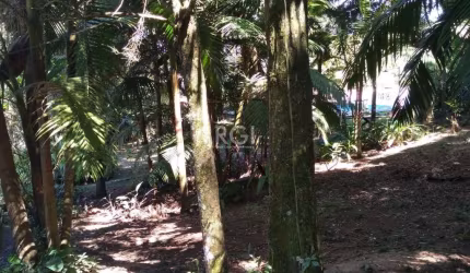 Belíssimo Terreno com 6.660m², de  frente para o lago Guaíba, com duas entradas, uma pela Av. Beira Rio e outra pela Av. Joaquim Martins da Silva.         &lt;BR&gt;Encantadora propriedade com piscina