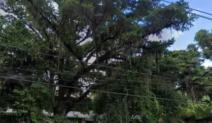 Casa na Av Guaiba, 6 dormitórios, c/ 3 suítes, 1 lavabo, sala jantar, cozinha, sala grande com lareira  e garagem.&lt;BR&gt;Agende sua visita!
