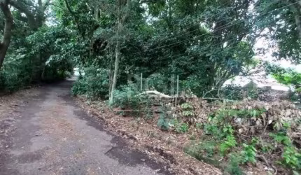 Terreno no bairro Camaquã com muita área verde, medindo o primeiro lote: de frente 11m x 40m de extensão, lindeiro com o segundo lote, o qual, tem sua frente em 32m x 87m de extensão, perfazendo uma á