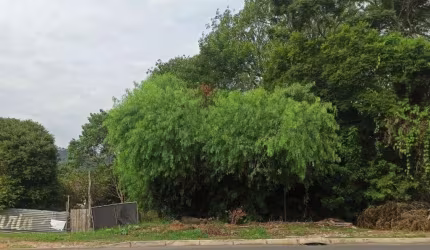 Baixou!  Excelente TERRENO na av. Vicente Montegia.&lt;BR&gt; Não perca esta oportunidade excepcional! ?    &lt;BR&gt;   &lt;BR&gt;Terreno amplo na prestigiada Avenida Vicente Monteggia, recentemente 