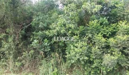 Terreno para Venda - 0m², 0 dormitórios, Restinga