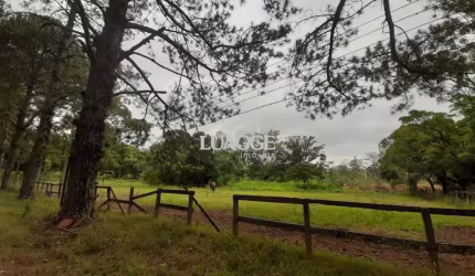 Sítio para Venda - 120217m², 0 dormitórios, Campo Novo