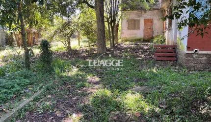 Terreno em Vila Ipiranga