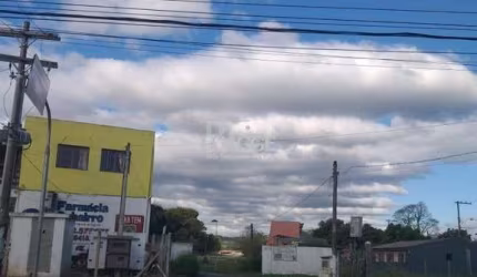 Terreno em Restinga