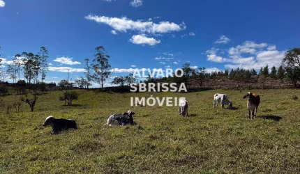 Sítio com 2 casas, 2 barracões de de 120 m² e 1 Barracão de 300 m² e ainda carvoaria com 24 fornos