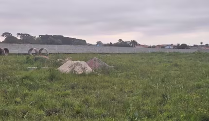 Terreno para Locação em São José dos Pinhais, Rio Pequeno