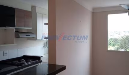 Apartamento com 3 quartos para alugar na Rua Manoel Sylvestre de Freitas Filho, 1224, Jardim Nova Europa, Campinas, 58 m2 por R$ 2.000