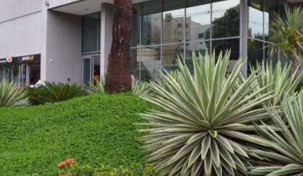 Sala à venda, 36 m² por R$ 430.000,00 - Cambuí - Campinas/SP