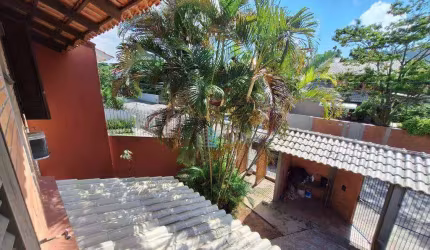 OPORTUNIDADE