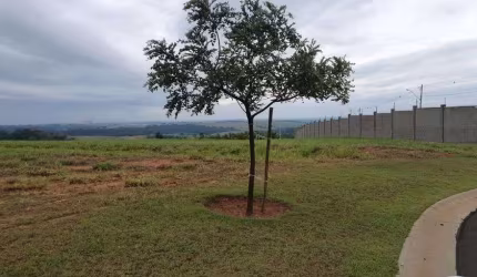 Lote/Terreno Entreverdes a venda com 1630 metros quadrados em Campinas-SP