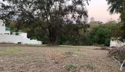 Terreno à venda no Condomínio Alphaville Campinas em Campinas - SP