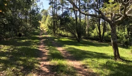 Sítio para venda em Iara em Atibaia - SP.