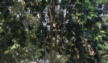 Chácara para venda no Chácaras Carolinas em Itu - SP.