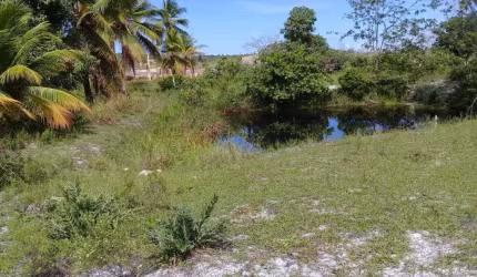 TerrenoÁrea à venda, Zona Rural - Pirambu/SE