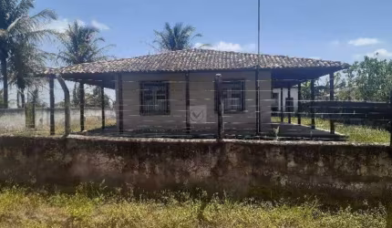 Sítio à Venda em Itabaiana: Seu Refúgio Verde Próximo à Cidade