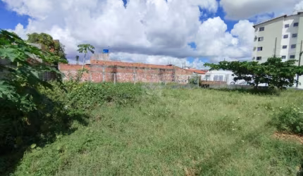 Terreno para aluguel no Bairro São Braz , Nossa Senhora do Socorro