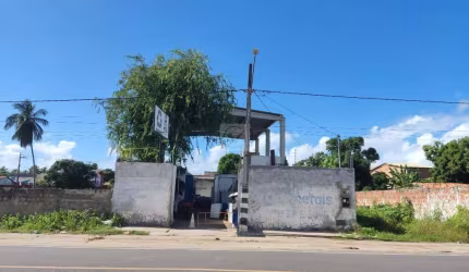 Oportunidade Imperdível: Terreno com Galpão na Rodovia dos Náufragos!