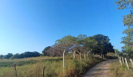 EXCELENTE SÍTIO COM 4 TAREFAS EM SÃO DOMINGOS.