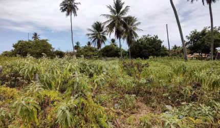 Invista no Futuro: Ampla Área de 51.425,90m² no Mosqueiro, Aracaju!