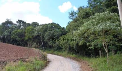 Terreno à venda, 16850 m² por R$ 750.000,00 - Centro (Canguera) - São Roque/SP