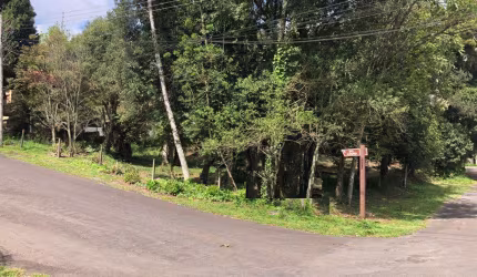 Terreno à venda no Bairro Ipê Amarelo com 1078 m² de área privativa