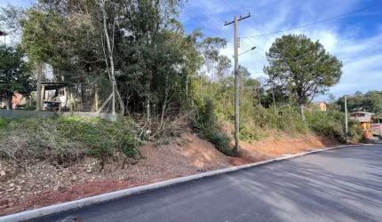 Terreno à venda no Bairro Vale dos Pinheiros com 482 m² de área privativa