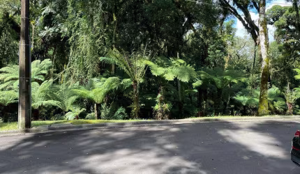 Terreno à venda no Bairro O Bosque com 1093 m² de área privativa