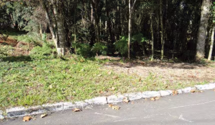Terreno à venda no Bairro Villagio com 980 m² de área privativa