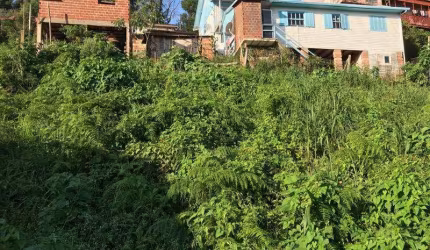 Terreno à venda no Bairro Prinstrop com 313 m² de área privativa