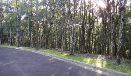 Terreno à venda no Bairro Vila Nova de Gaia com 800 m² de área privativa