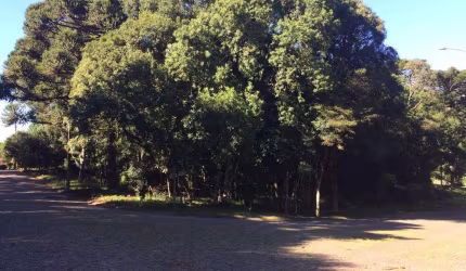 Terreno à venda no Bairro Vila Suzana com 1622 m² de área privativa