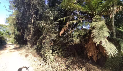 Terreno à venda no Bairro Alpes Verdes com 789 m² de área privativa