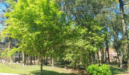 Terreno à venda no Bairro Lagos de Gramado com 1242 m² de área privativa