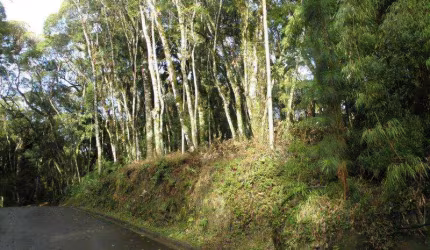Terreno à venda no Bairro O Bosque