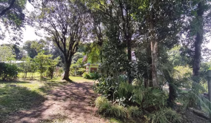 Terreno Comercial à venda no Bairro Carniel