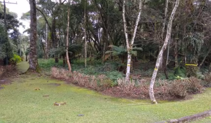 Terreno à venda no Bairro Golf Club com 1351 m² de área privativa